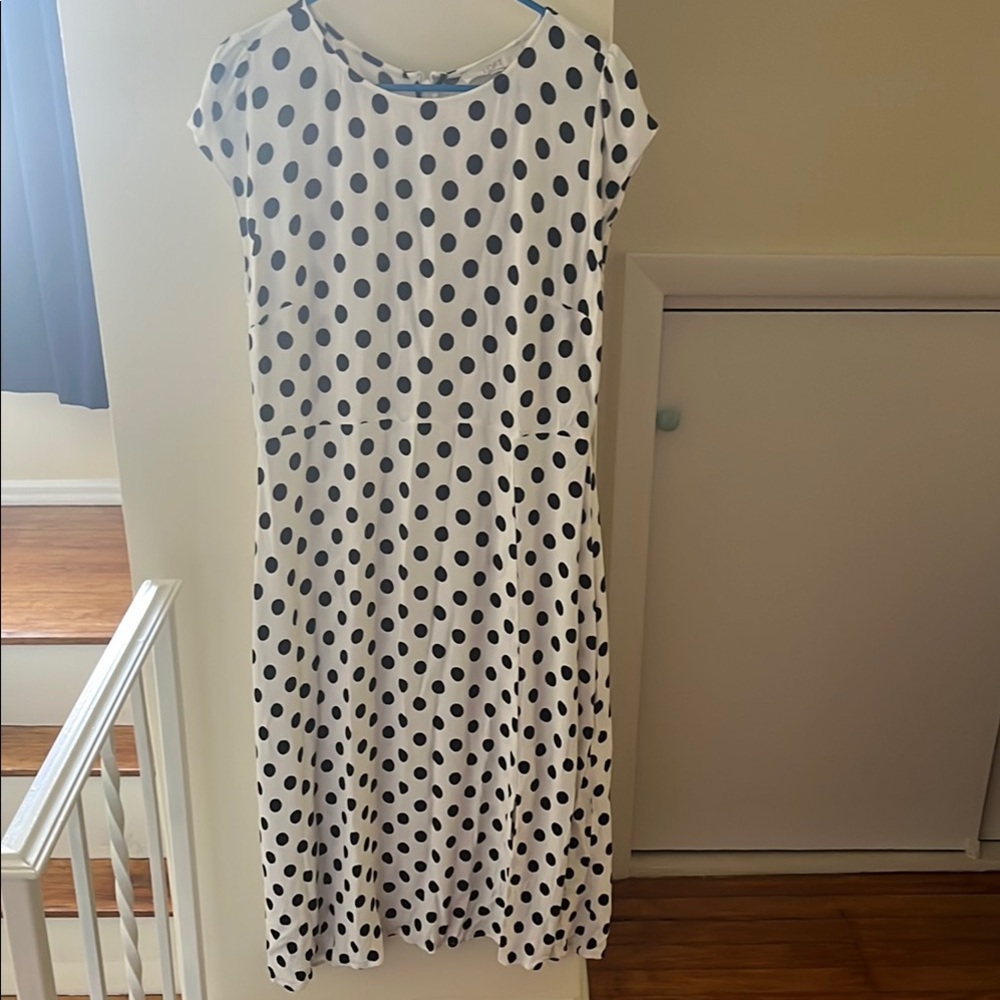 LOFT Black and White Polka Dot Dress